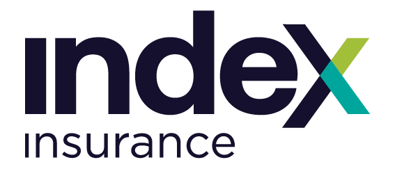 Index Insurance logo